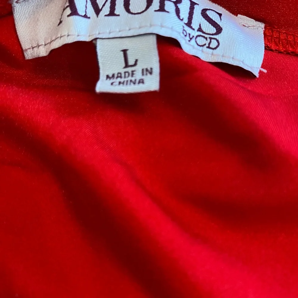 Amoris Red Gown - Picture 12 of 14